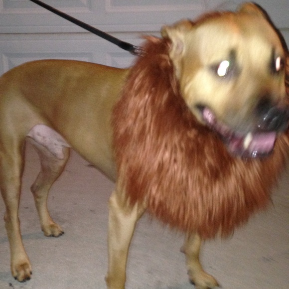 👉PLEASE LIKE AND SHARE NEW GAME! 😊🥰🎉 - Picture 16 of 16